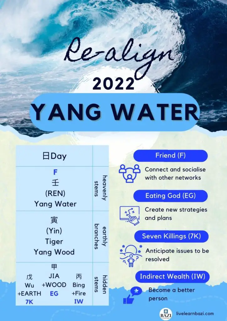 Realigned Goals For Yang Water 2022