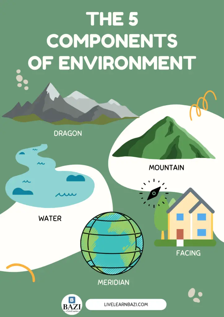 The Five Components of Environment