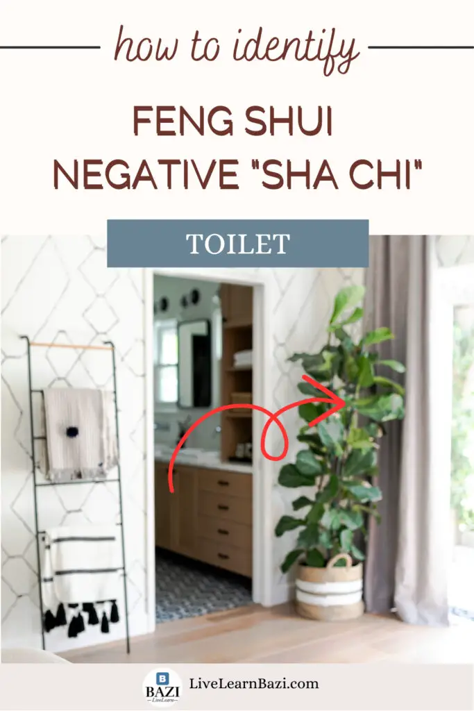 Feng Shui Negative Energy Protection - How To Identify "Sha Chi" (Toilet)