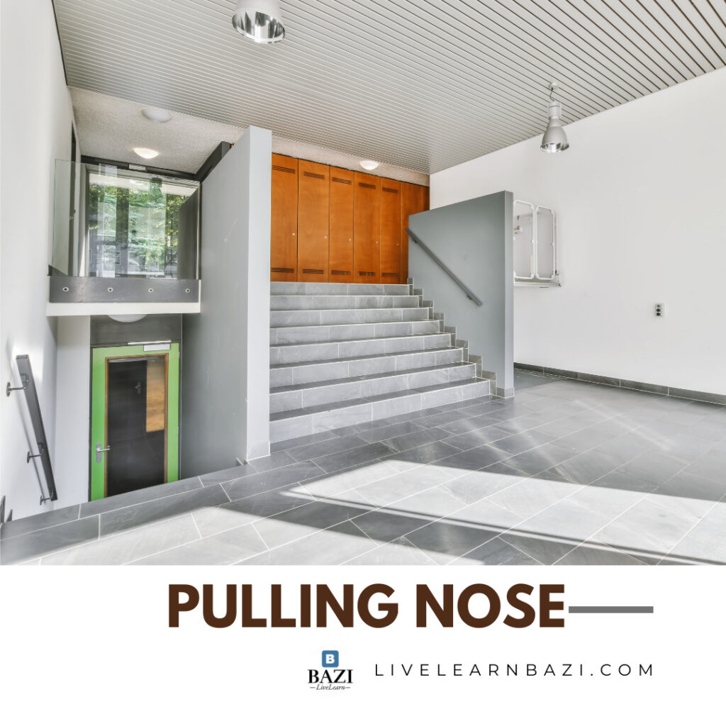 Pulling Nose In Your Feng Shui Home