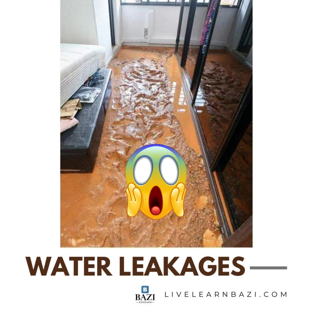 Water Leakages in Your Feng Shui Home