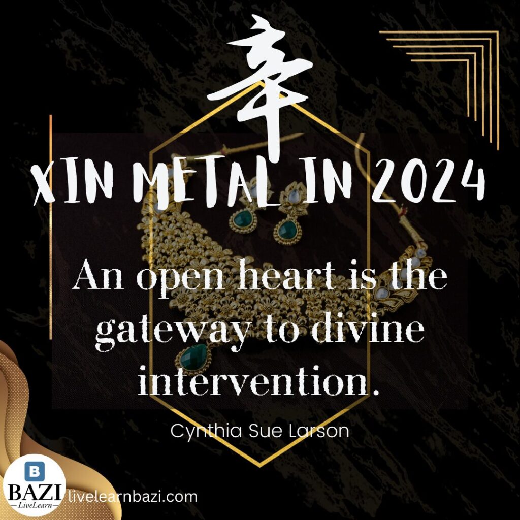 Path to Success: Xin Metal in 2024 