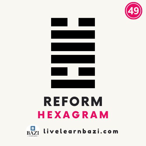 64 Hexagrams - 49 Reform Hexagram