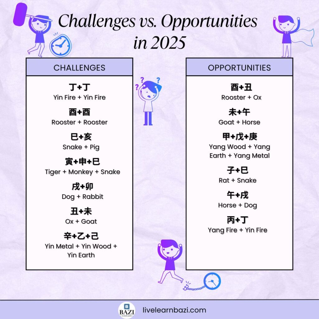 Challenges vs. Opportunities in Chinese Astrology 2025
