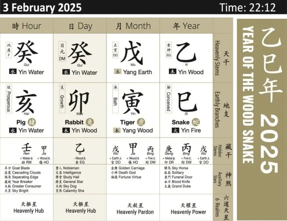 Chinese Astrology 2025 - Bazi Chart 2025 Year of the Wood Snake