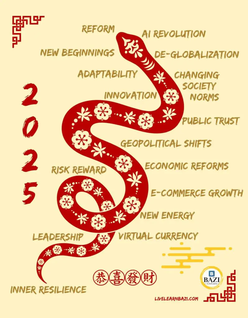 Chinese Astrology 2025 - Topics To Tackle